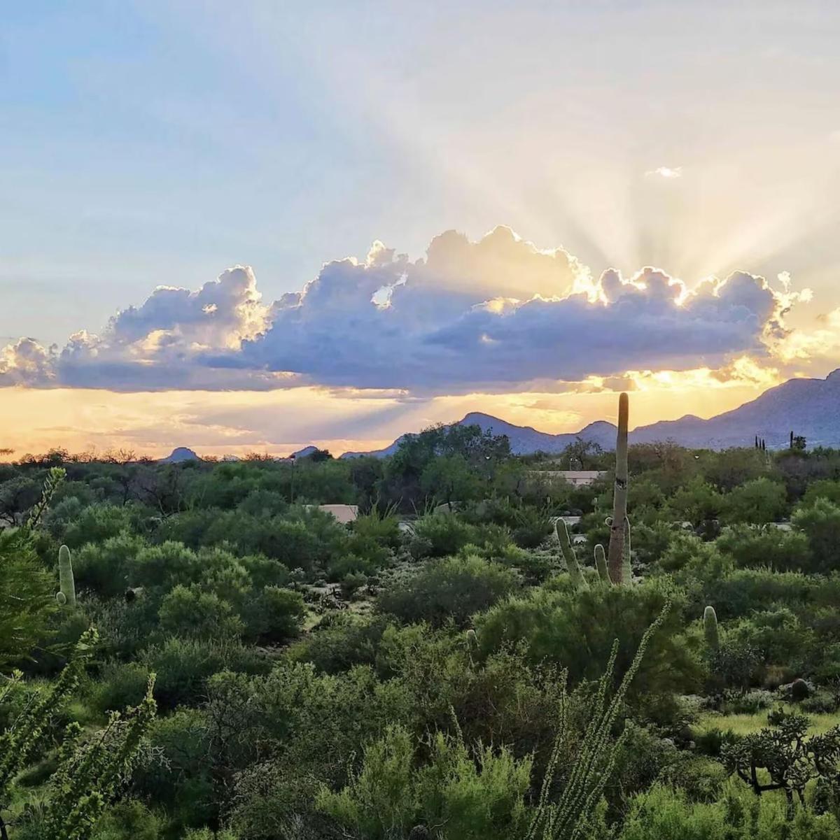 Luxury 3Bd 2Ba Home Near Tucson With Desert Views - Low Summer Rates! Оро Вали Екстериор снимка