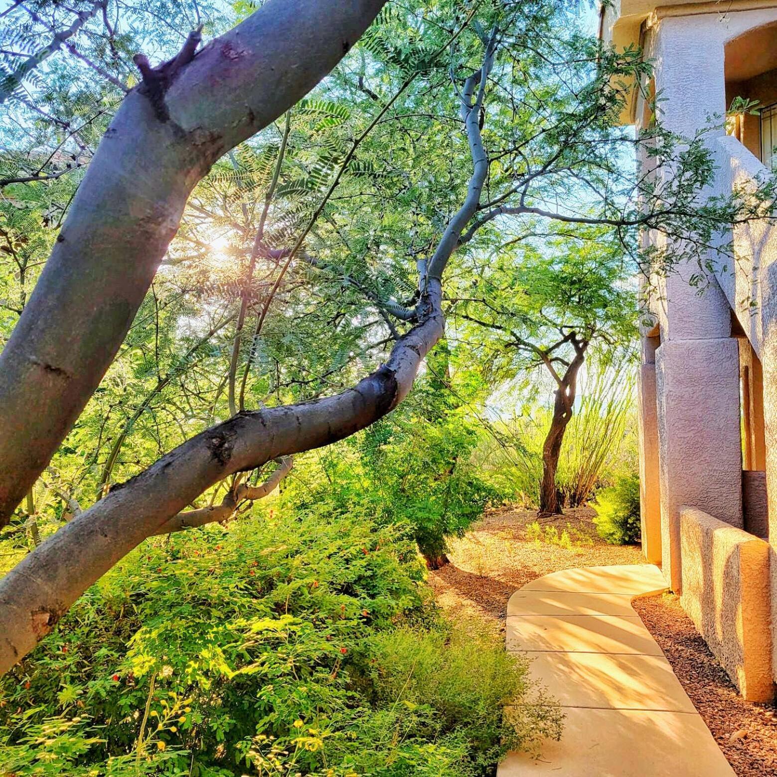 Luxury 3Bd 2Ba Home Near Tucson With Desert Views - Low Summer Rates! Оро Вали Екстериор снимка
